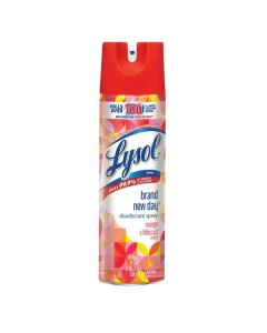 LYSOL® Disinfectant Spray - Brand New Day™ Mango & Hibiscus 6/19 oz.